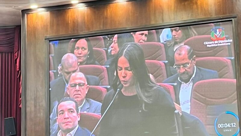 Carolina Wegmuller advierte sobre los efectos negativos de la reforma fiscal en la juventud dominicana durante su visita al Congreso Nacional