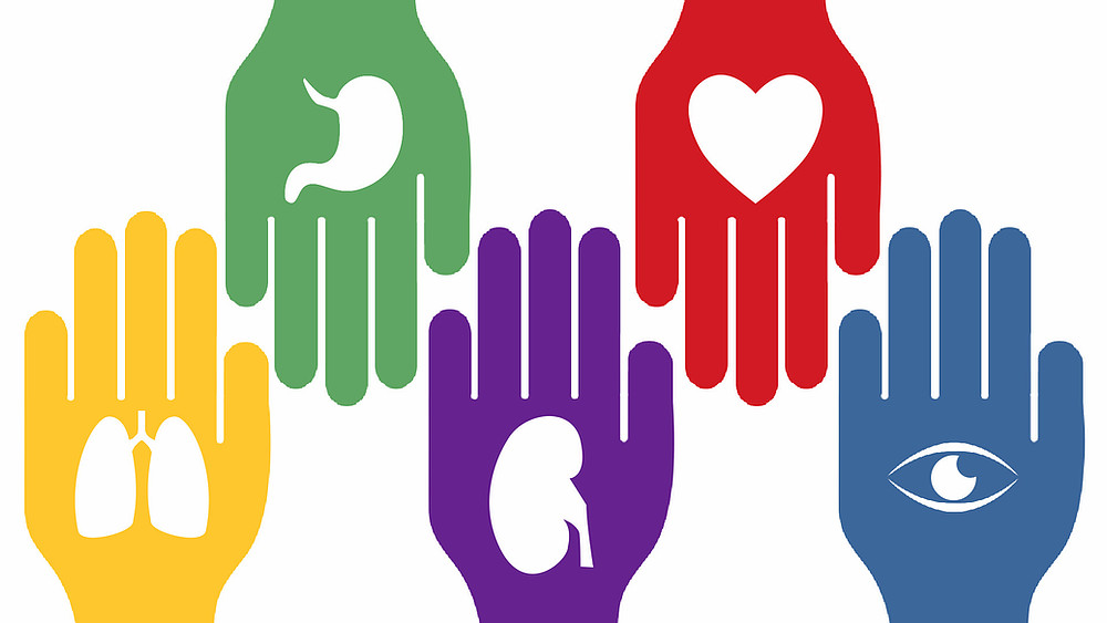 Hoy 14 de octubre es el Día Mundial de la Donación de Órganos, Tejidos y Trasplantes: Un acto que salva vidas
