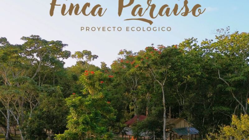 Finca Paraíso: Un refugio natural en Bonao para los amantes de la aventura y la tranquilidad