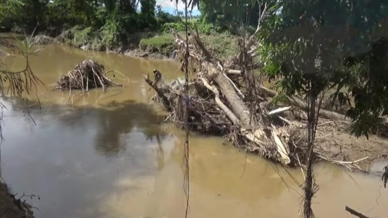 Agricultores piden dragado y reparación del muro de contención del río masacre en Dajabón