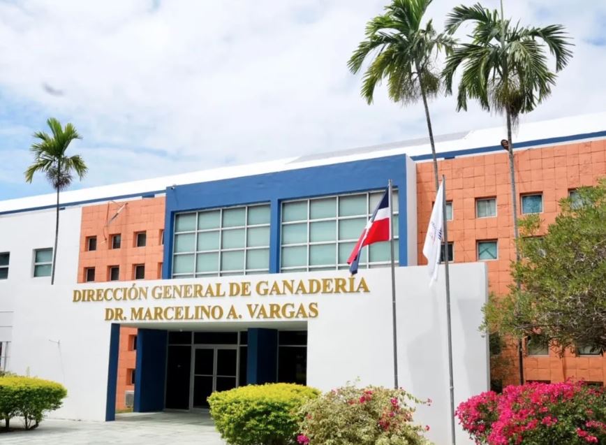 Ganadería recuerda no se puede movilizar cerdos sin certificación para frenar la PPA
