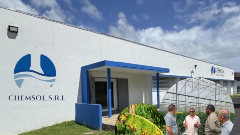 Empresa puertorriqueña CHEMSOL lanza en República Dominicana producto 100% natural que elimina la Sigatoka Negra