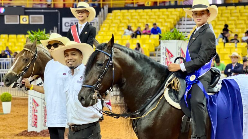 Delegación Dominicana brilla con medallas de oro, plata y bronce en la Competencia Internacional de Caballos de Paso Félix Santiago Oliver 2025