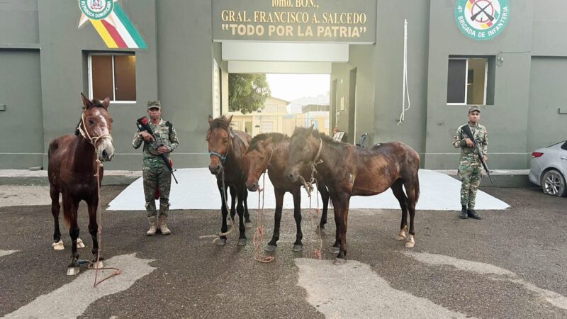 Ejército frustra robo de animales y recupera caballos en Dajabón