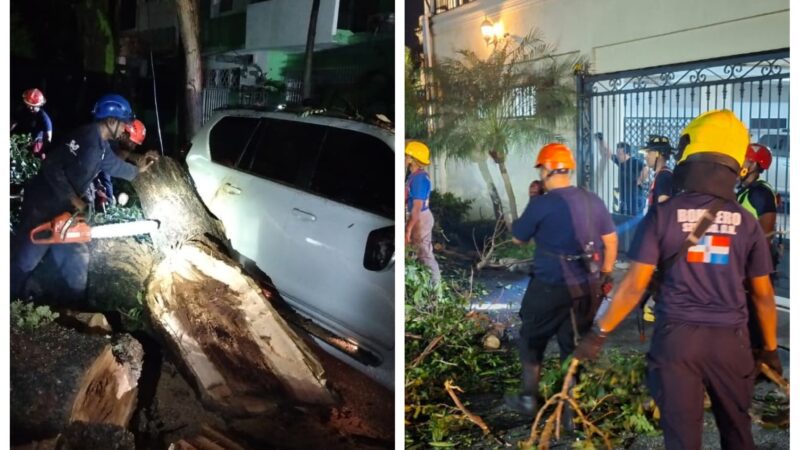 Bomberos y Alcaldía del Distrito Nacional retiran árboles caídos tras fuertes vientos