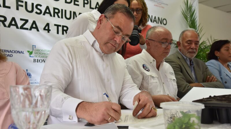 República Dominicana se adelanta al Fusarium R4T: Agricultura y OIRSA lanzan proyecto pionero de banano tolerante