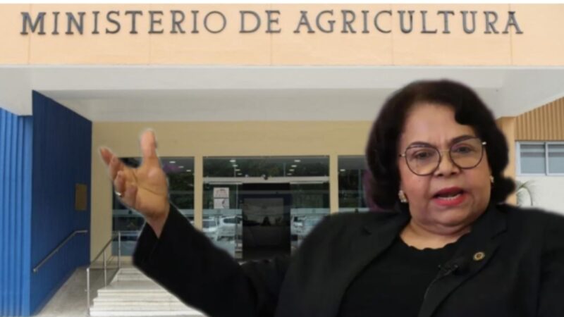 Cámara de Cuentas realiza auditoría al Ministerio de Agricultura