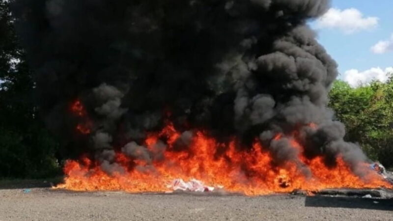 El Inacif destruye más de dos toneladas de cocaína y marihuana