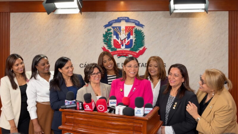 Comisión Especial de la Cámara de Diputados convoca a vista pública para construir una nueva ley de discapacidad