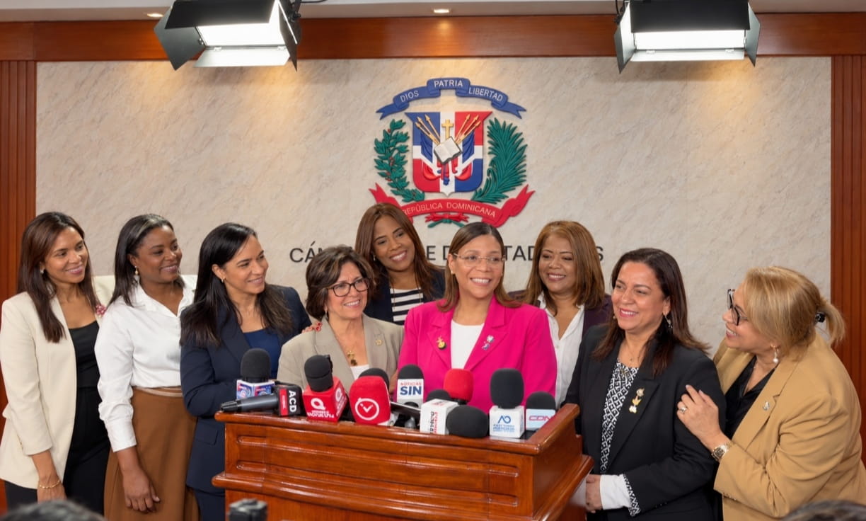 Comisión Especial de la Cámara de Diputados convoca a vista pública para construir una nueva ley de discapacidad
