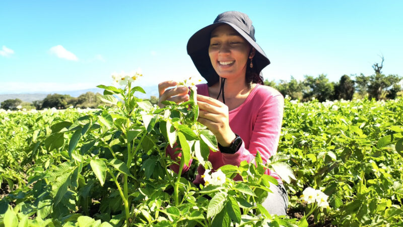 Agricultura beneficia a más de 4,700 mujeres rurales con programas de capacitación y apoyo productivo