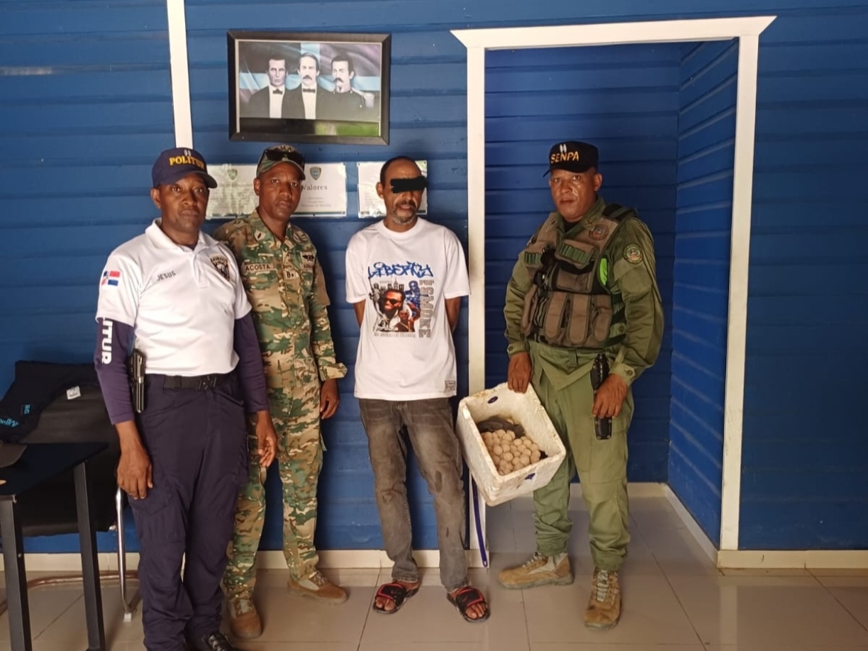 SENPA ocupa 126 huevos de tortuga carey en operativo en Isla Saona