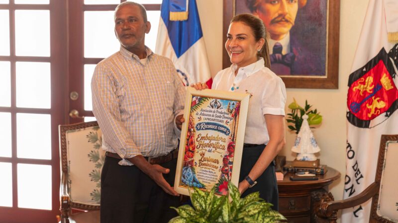 Reconocen a Carolina Mejía como embajadora del larimar dominicano